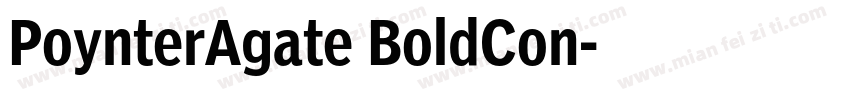 PoynterAgate BoldCon字体转换